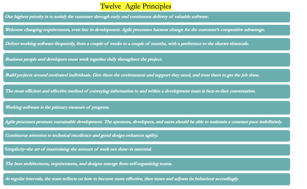 Agile Principles Infographics.