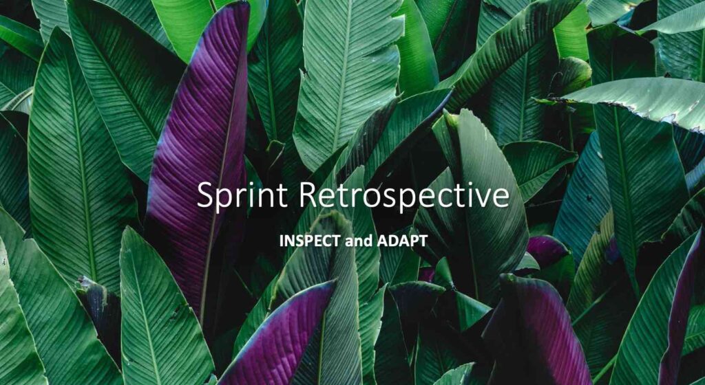 Sprint Retrospection