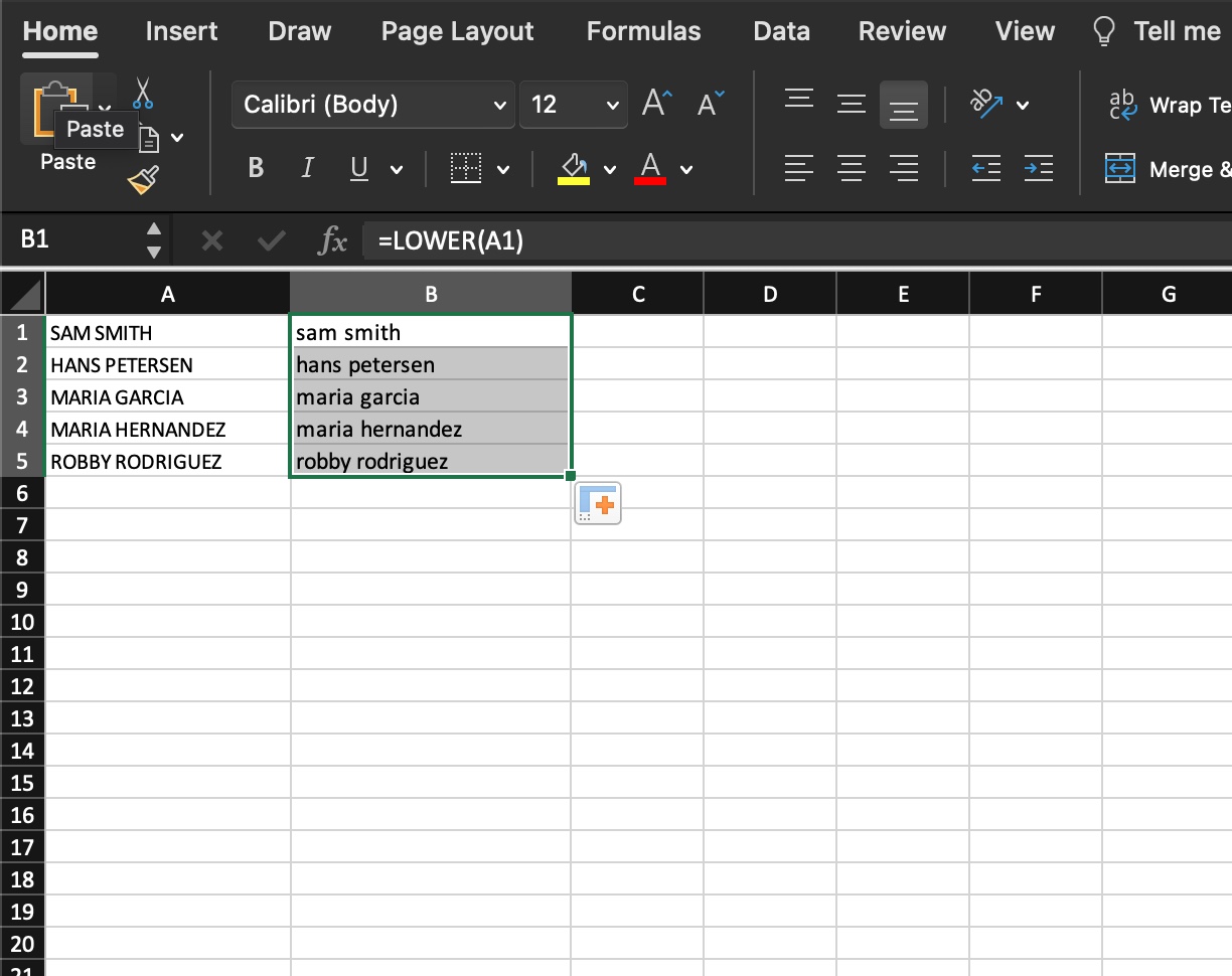 Change Case to Lower Case in EXCEL Management Bliss