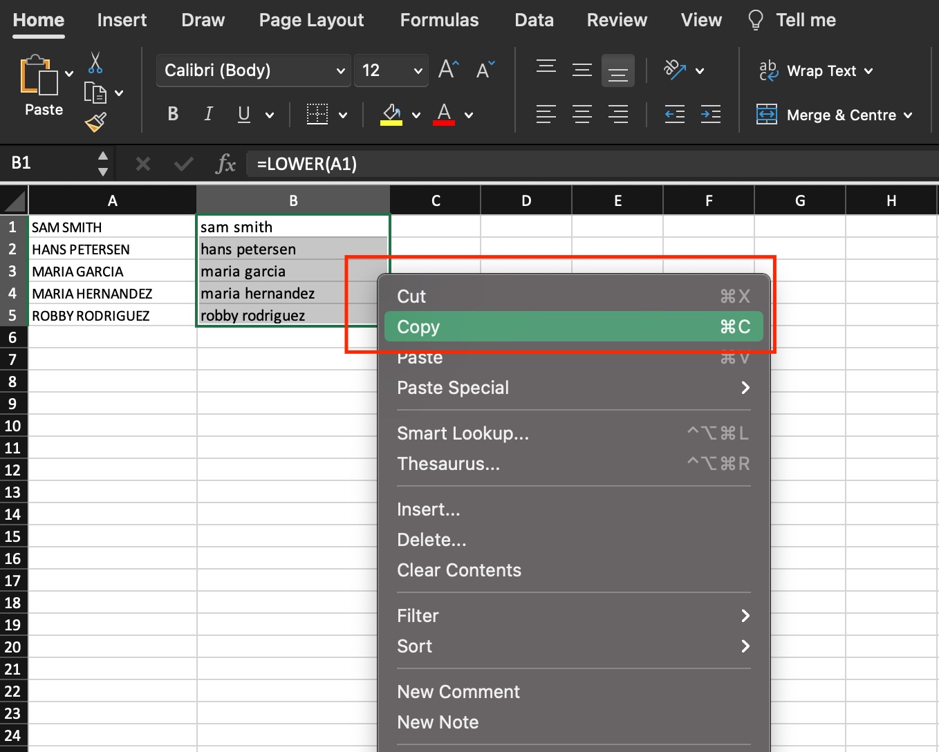 change-case-to-lower-case-in-excel-management-bliss